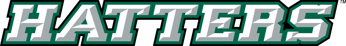 Stetson Hatters 2008-2017 Wordmark Logo v2 iron on transfers for clothing